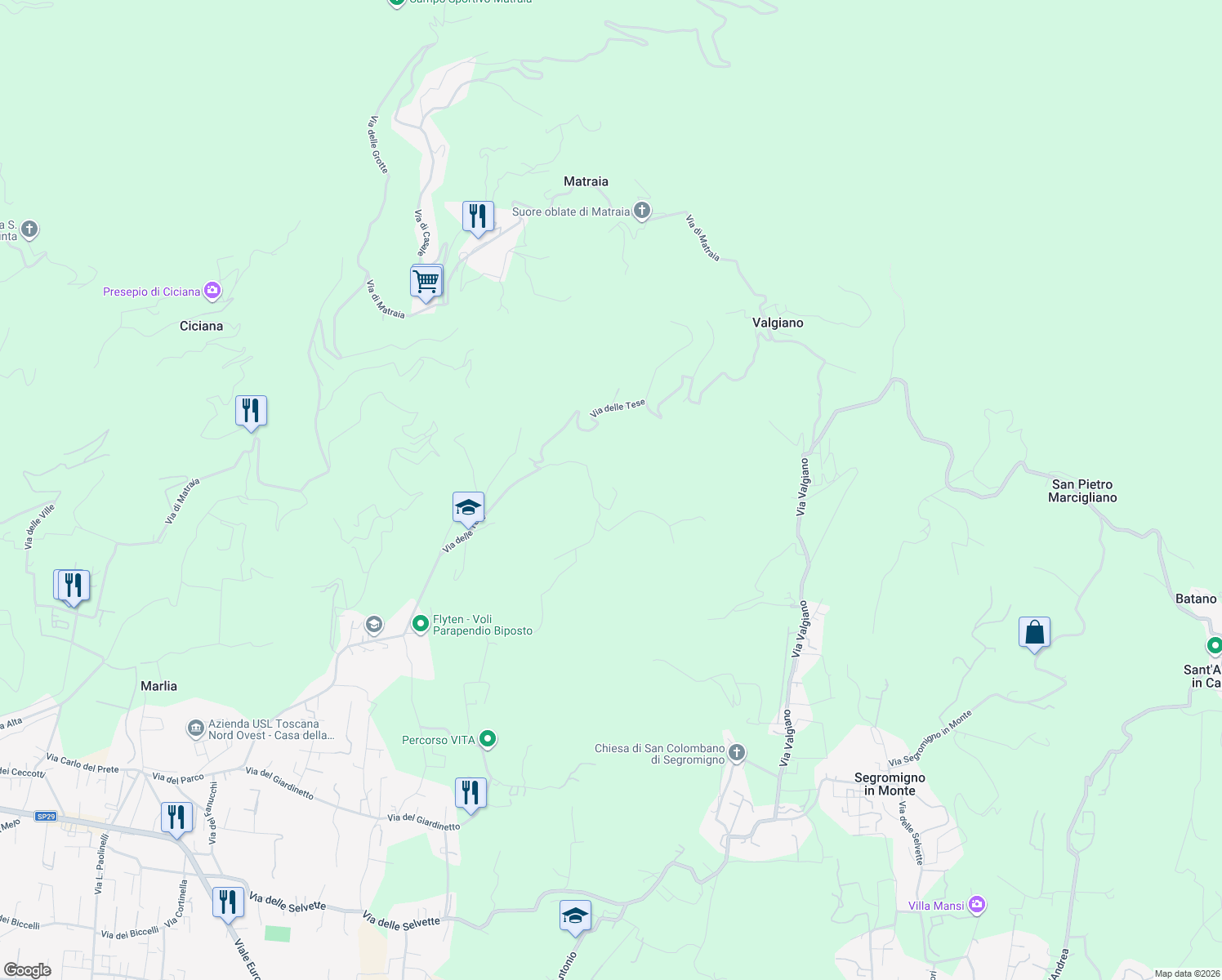 map of restaurants, bars, coffee shops, grocery stores, and more near 58 Via delle Tese in Capannori