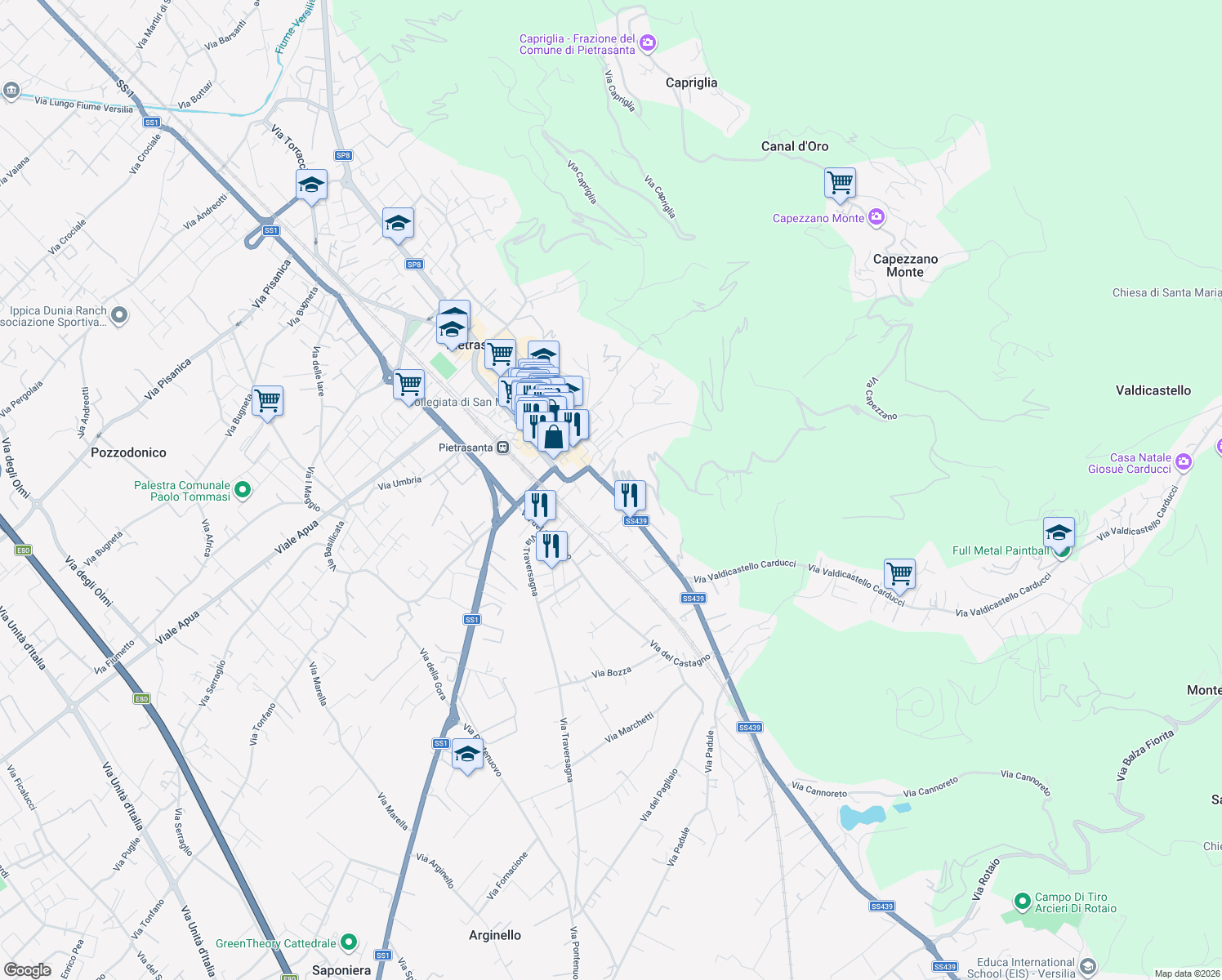 map of restaurants, bars, coffee shops, grocery stores, and more near 102 Via Garibaldi in Pietrasanta