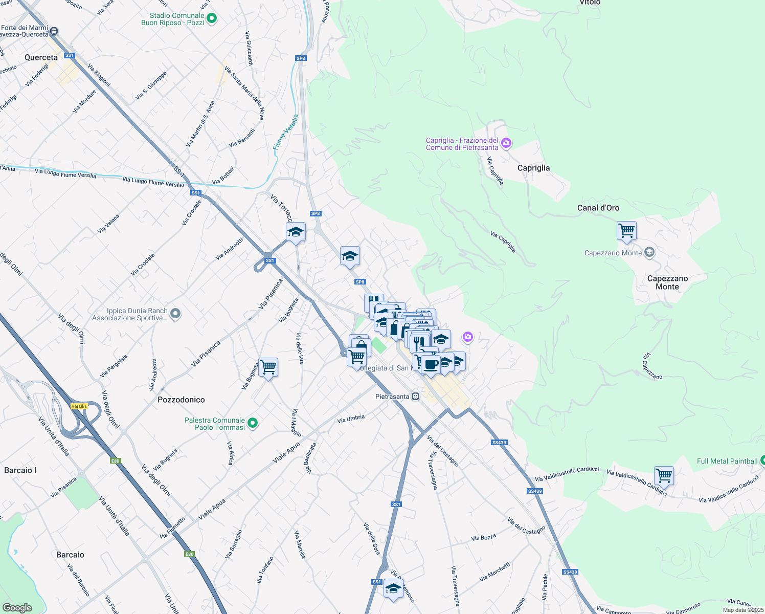 map of restaurants, bars, coffee shops, grocery stores, and more near 12 Via Martinatica in Pietrasanta