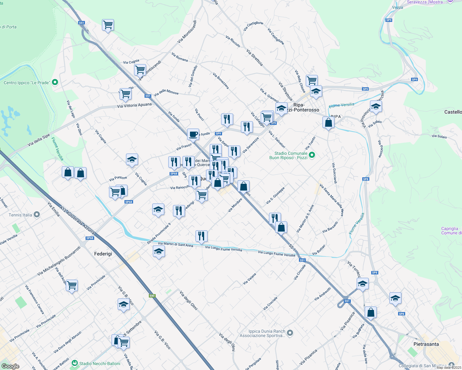 map of restaurants, bars, coffee shops, grocery stores, and more near 6 Piazza Giacomo Matteotti in Ripa-pozzi-querceta-ponterosso