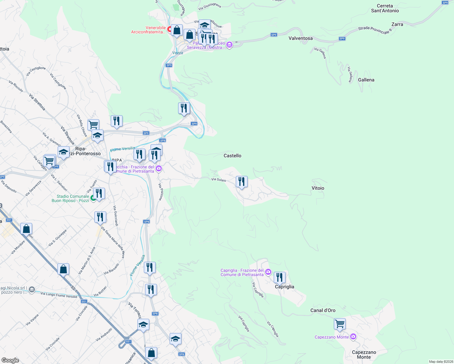 map of restaurants, bars, coffee shops, grocery stores, and more near 76 Via Solaio in Pietrasanta