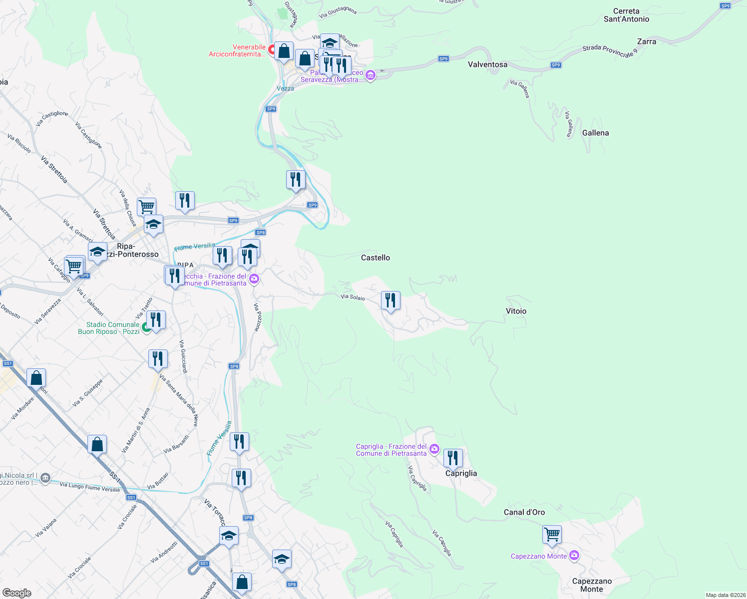 map of restaurants, bars, coffee shops, grocery stores, and more near 76 Via Solaio in Pietrasanta