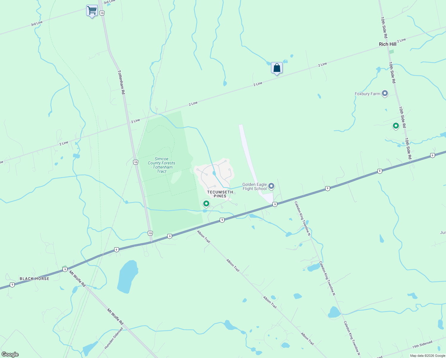 map of restaurants, bars, coffee shops, grocery stores, and more near 36 Tecumseth Pines Drive in New Tecumseth