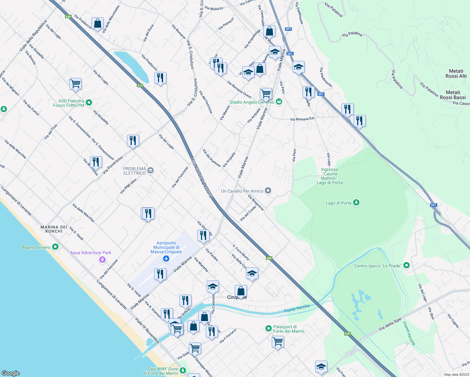 map of restaurants, bars, coffee shops, grocery stores, and more near 132 Viale Marina in Massa