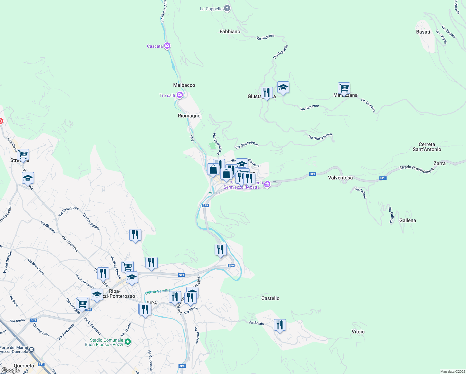 map of restaurants, bars, coffee shops, grocery stores, and more near 11 Viale Leonetto Amadei in Seravezza