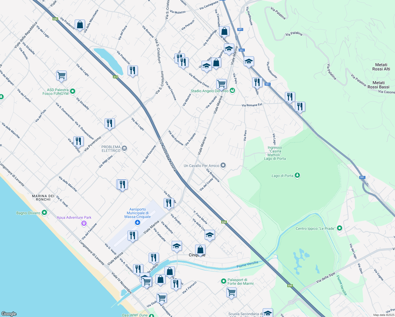 map of restaurants, bars, coffee shops, grocery stores, and more near 132 Viale Marina in Massa
