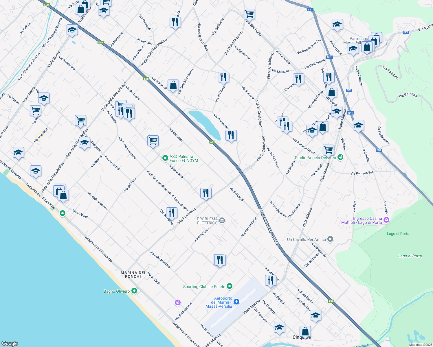 map of restaurants, bars, coffee shops, grocery stores, and more near 54 Via Volpina in Massa