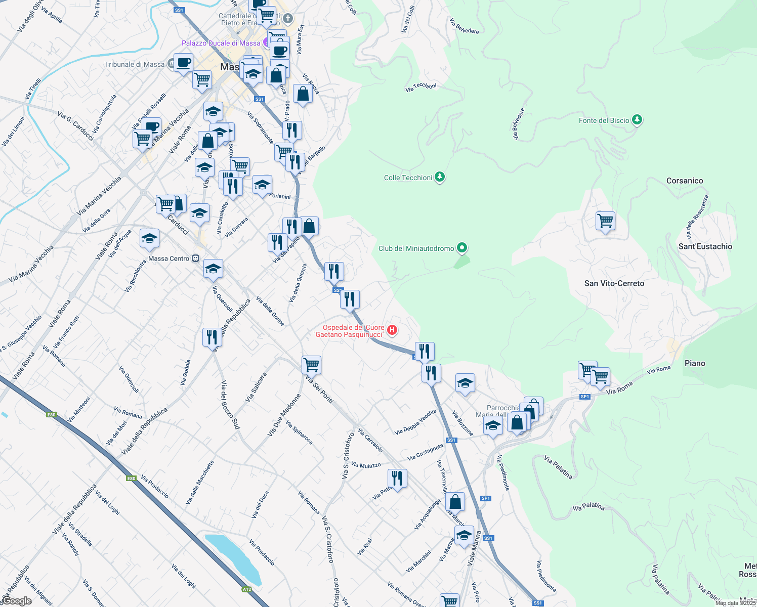 map of restaurants, bars, coffee shops, grocery stores, and more near 24 Via Canalmagro in Massa