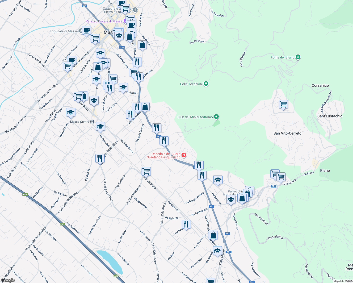 map of restaurants, bars, coffee shops, grocery stores, and more near 24/A Via Canalmagro in Massa