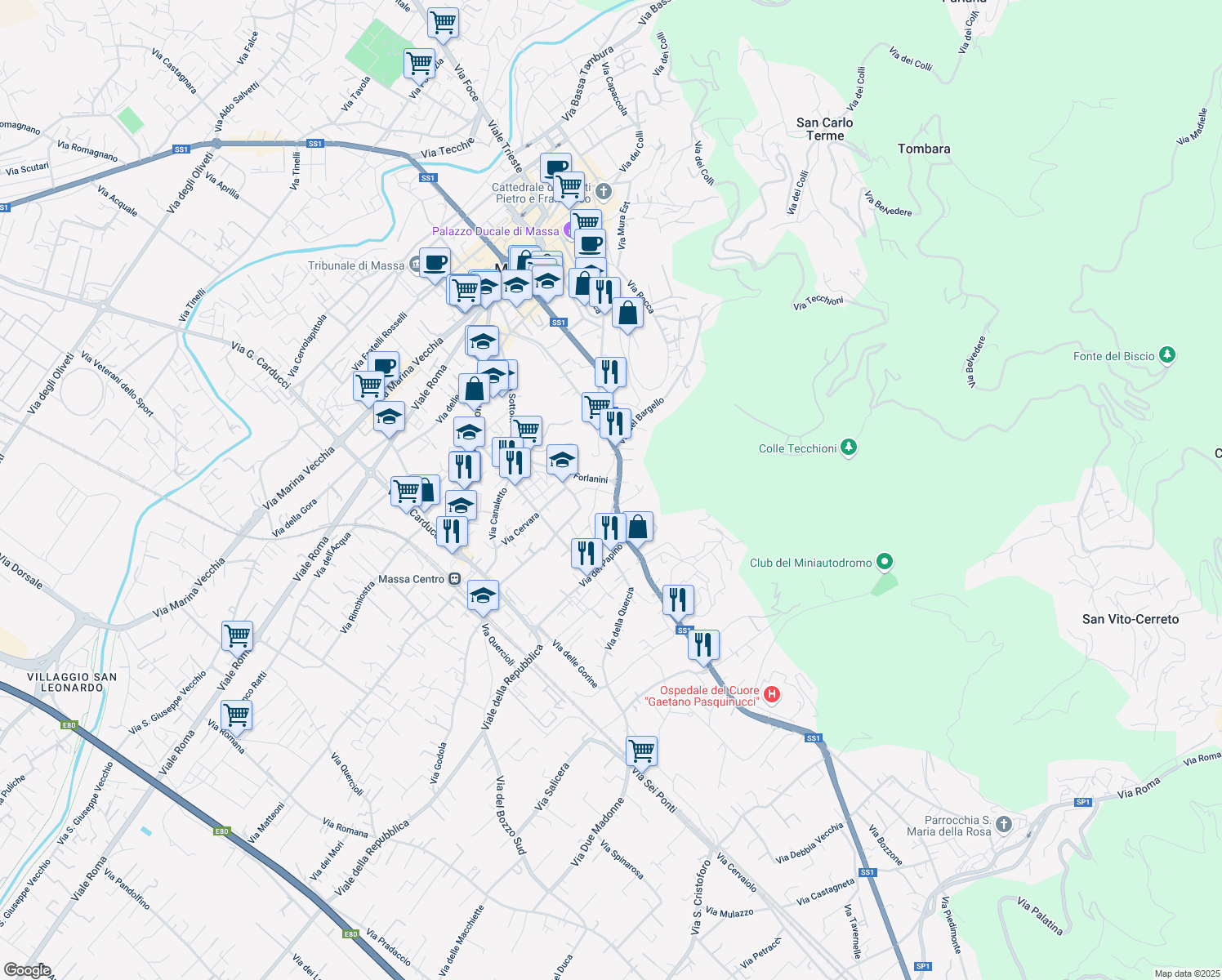 map of restaurants, bars, coffee shops, grocery stores, and more near 1 Via Lazzaro Spallanzani in Massa