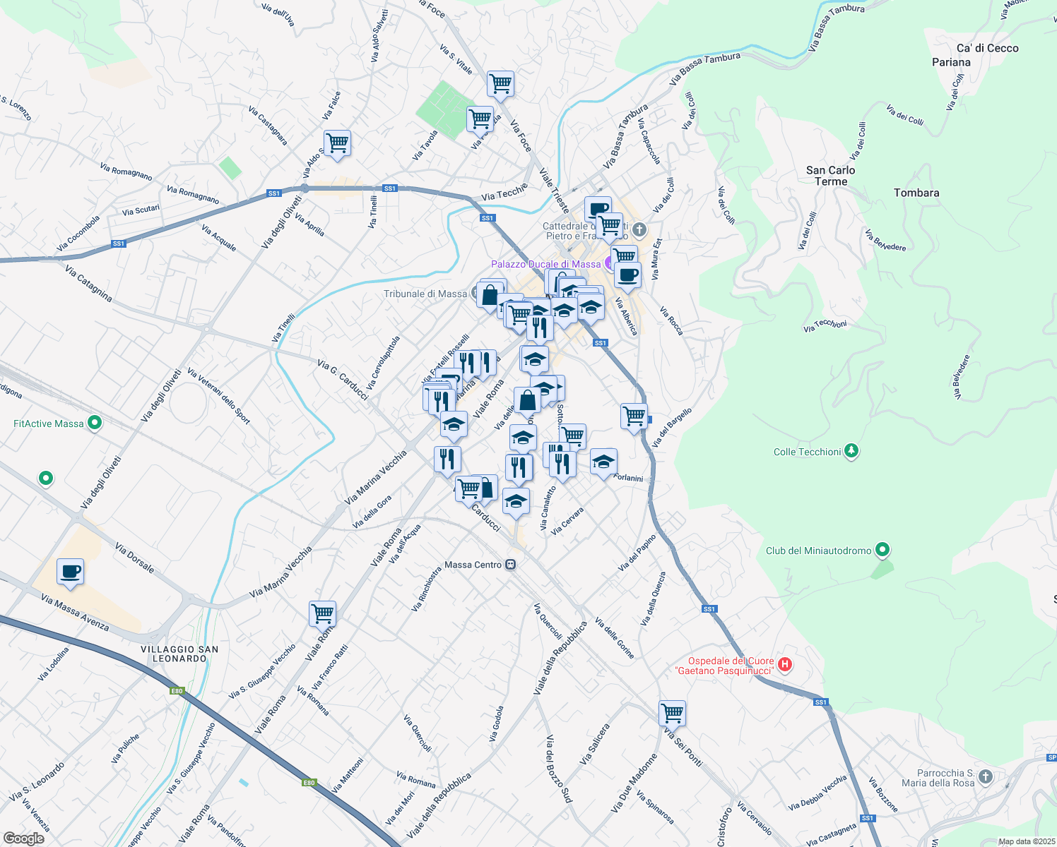map of restaurants, bars, coffee shops, grocery stores, and more near 44 Viale Stazione in Massa
