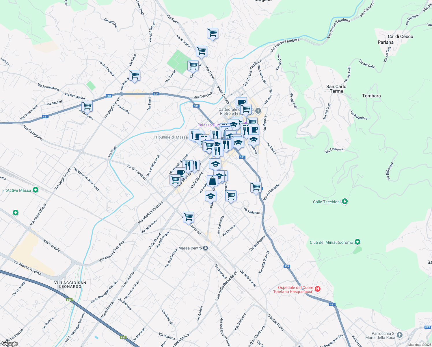 map of restaurants, bars, coffee shops, grocery stores, and more near 7 Via Alessandro Bergamini in Massa