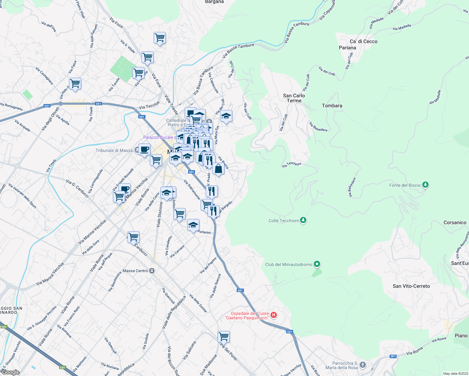 map of restaurants, bars, coffee shops, grocery stores, and more near 19 Via Rocca in Massa