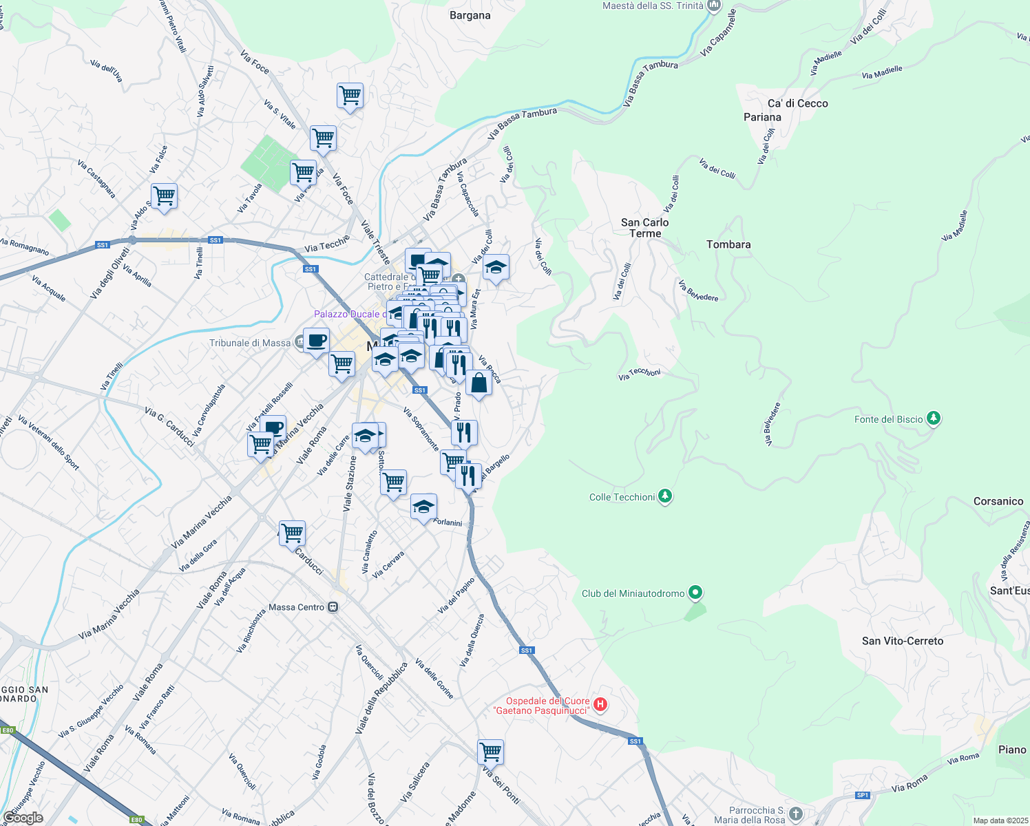 map of restaurants, bars, coffee shops, grocery stores, and more near 19 Via Rocca in Massa
