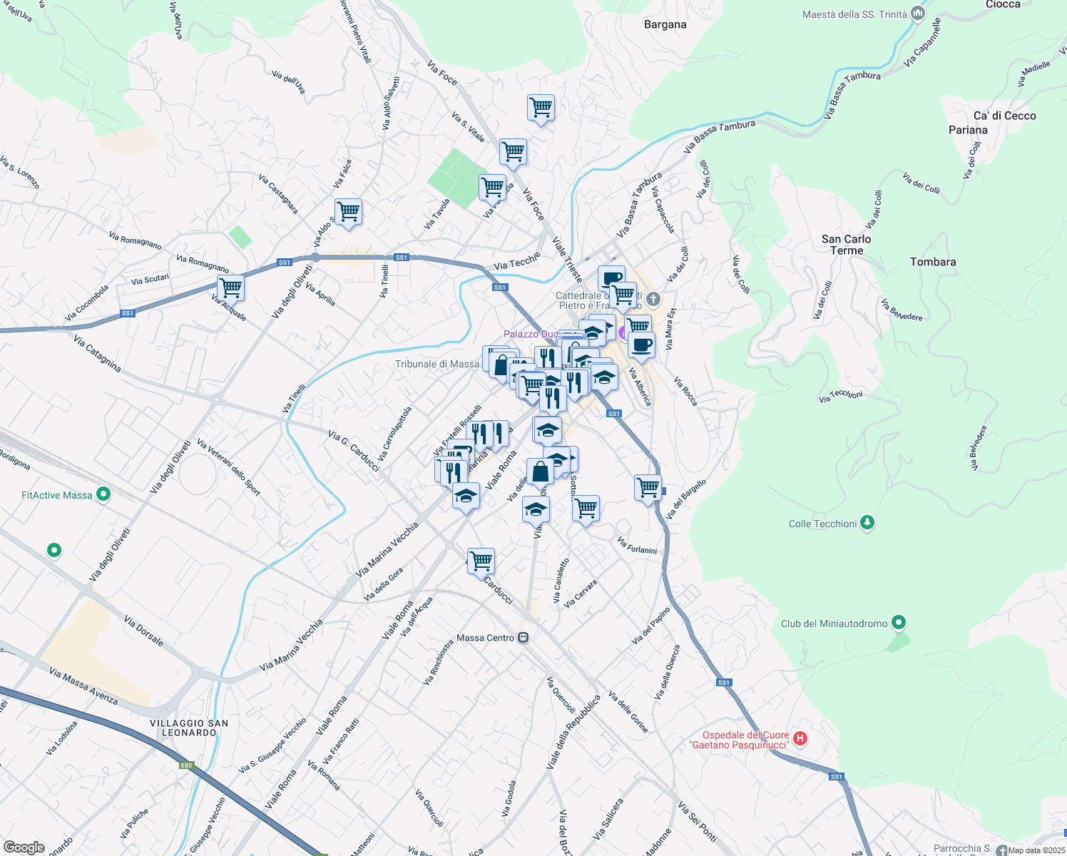 map of restaurants, bars, coffee shops, grocery stores, and more near 19-41 Viale Roma in Massa