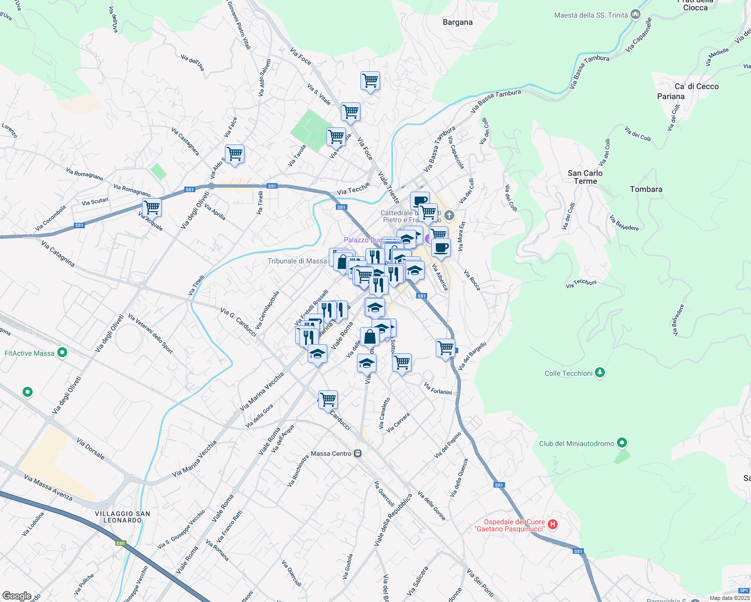 map of restaurants, bars, coffee shops, grocery stores, and more near 41 Viale Roma in Massa