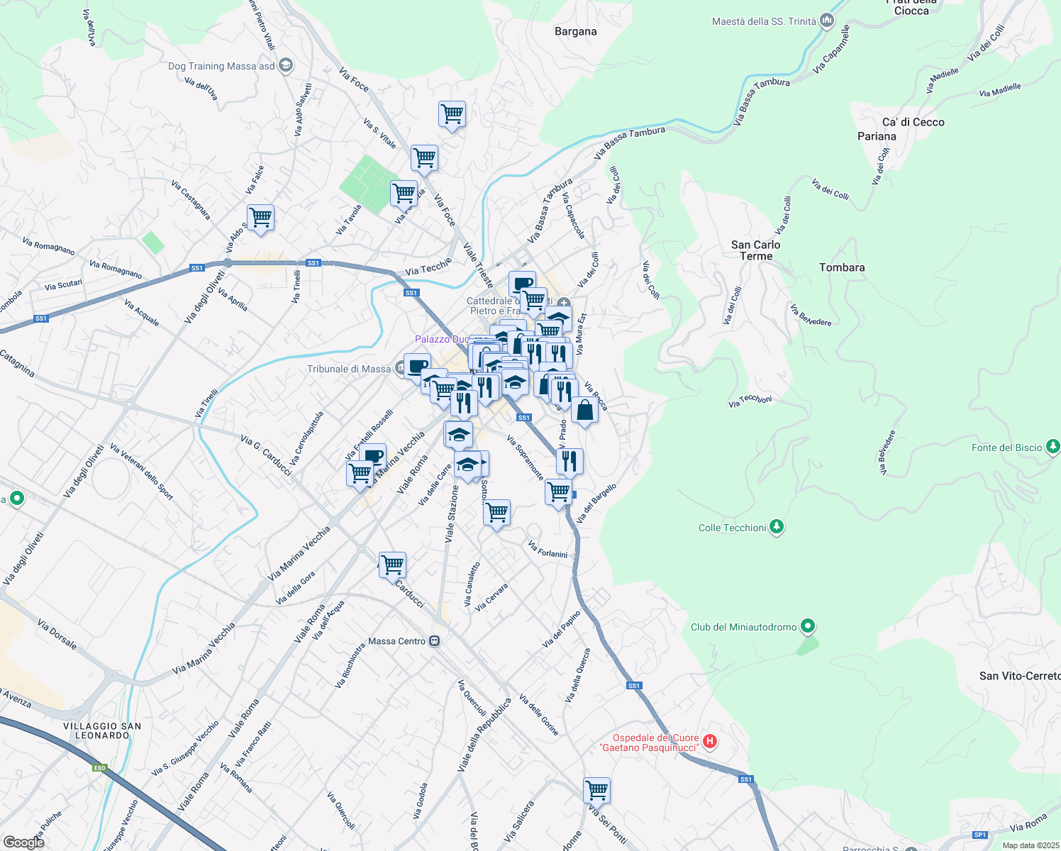 map of restaurants, bars, coffee shops, grocery stores, and more near 1-13 Via Ponticello Sud in Massa