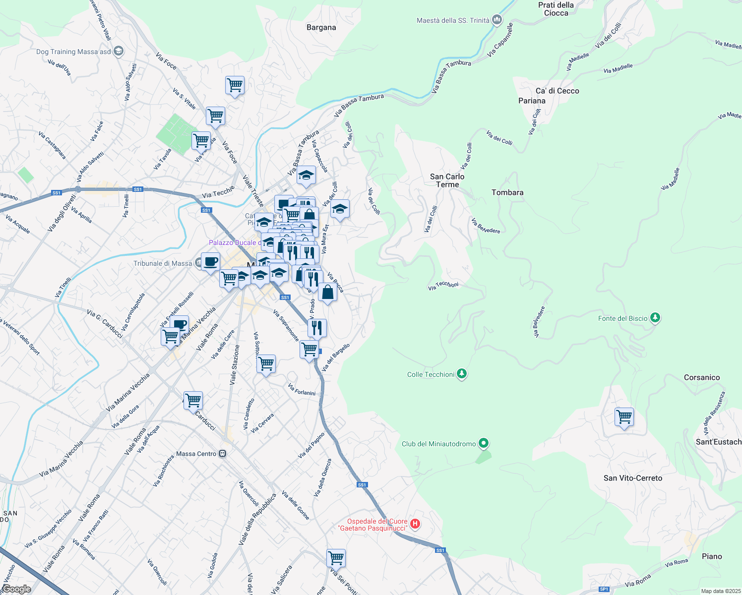 map of restaurants, bars, coffee shops, grocery stores, and more near 29 Via degli Obertenghi in Massa