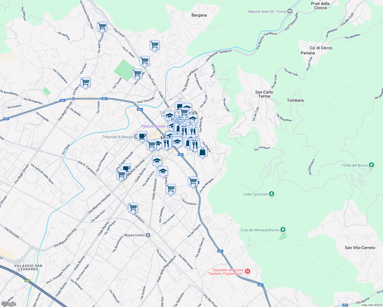 map of restaurants, bars, coffee shops, grocery stores, and more near 11 Piazza Bastione in Massa