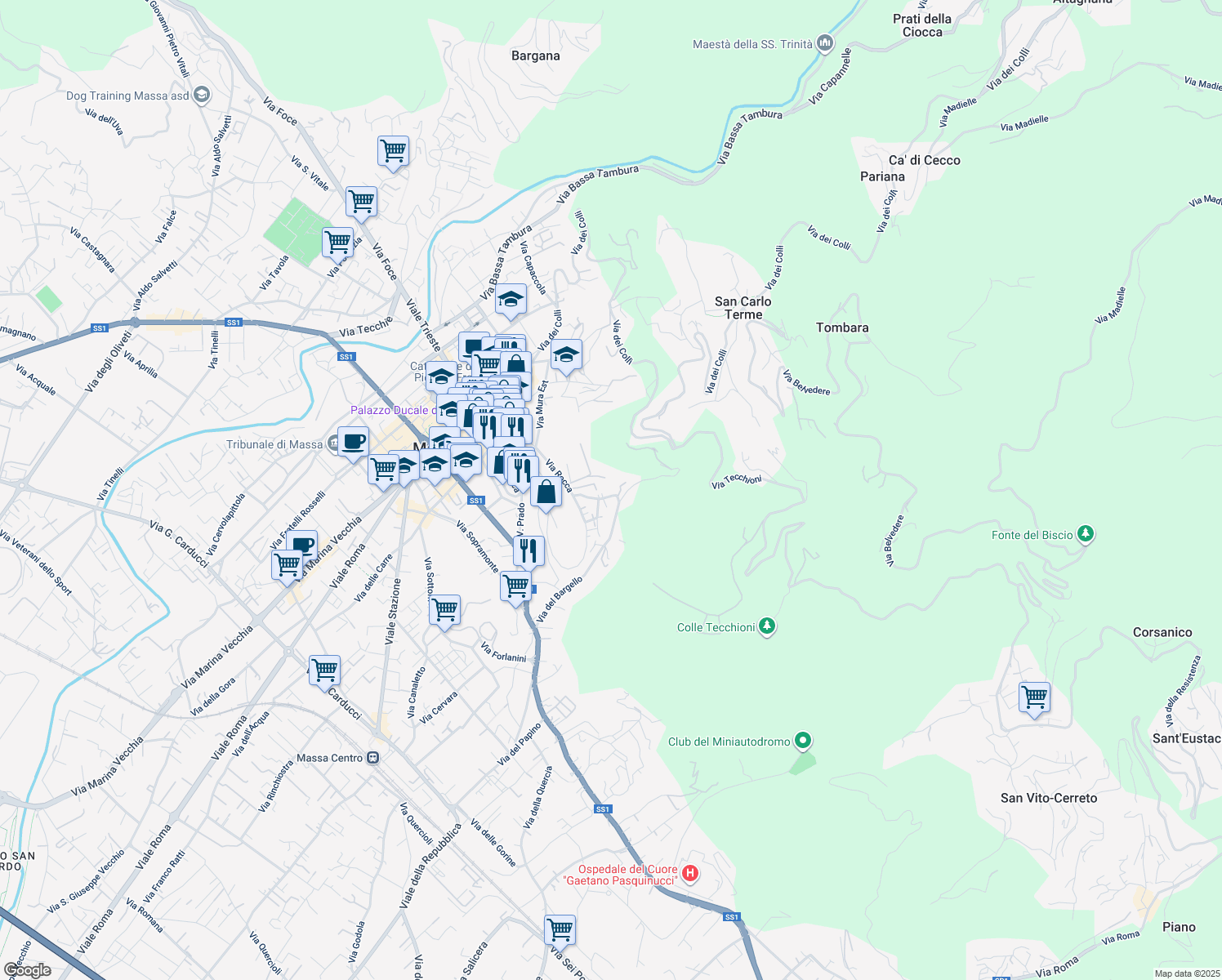 map of restaurants, bars, coffee shops, grocery stores, and more near 29 Via degli Obertenghi in Massa