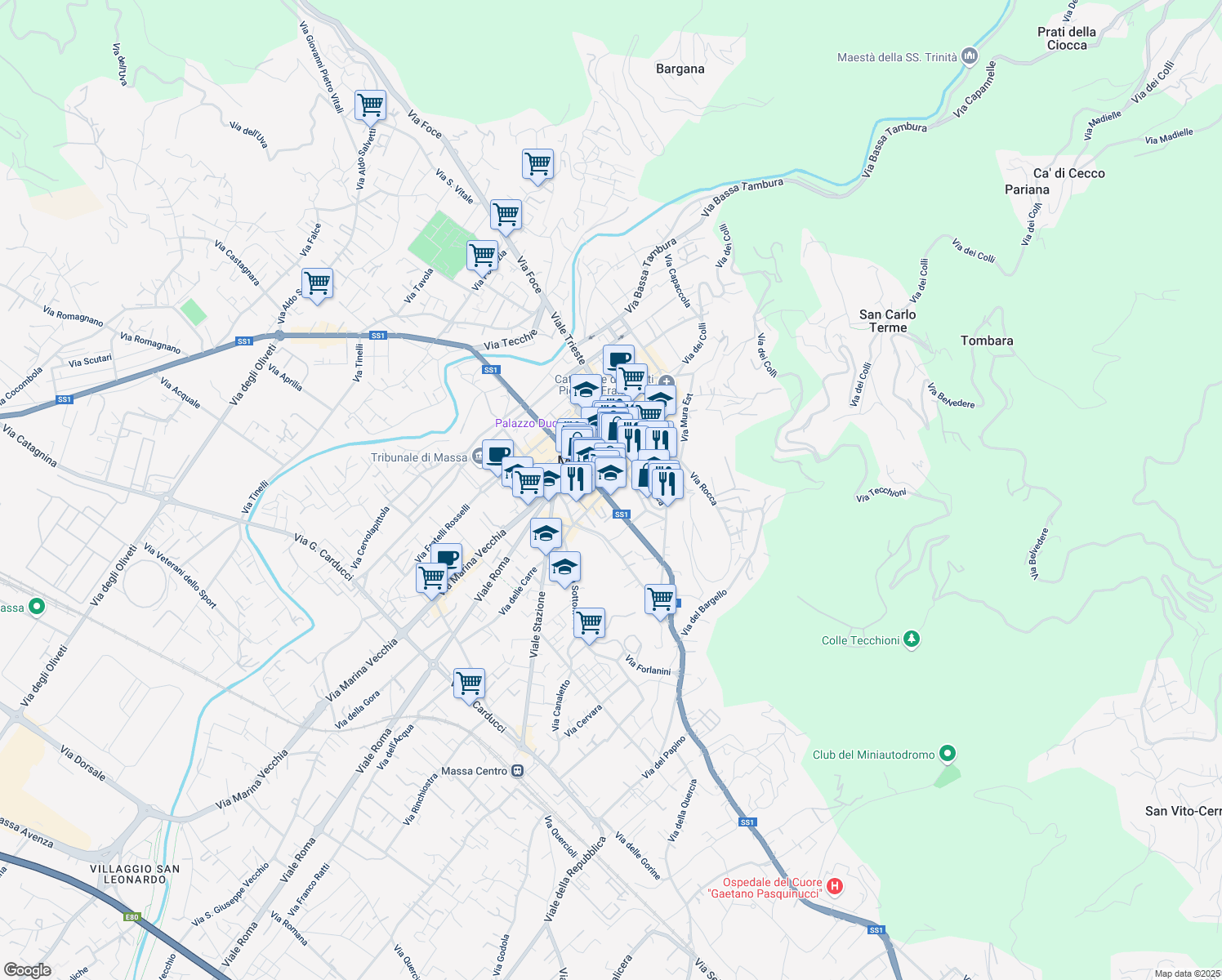 map of restaurants, bars, coffee shops, grocery stores, and more near 23 Via Democrazia in Massa