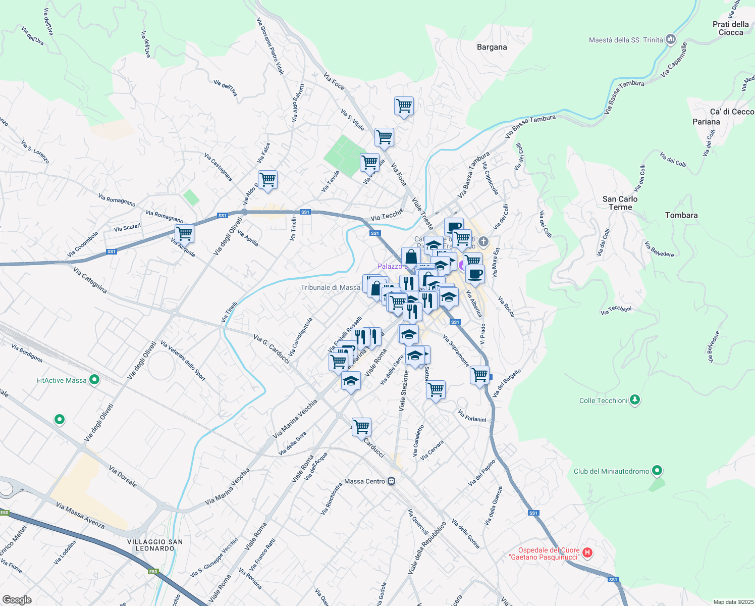map of restaurants, bars, coffee shops, grocery stores, and more near 1 Piazza Alcide de Gasperi in Massa