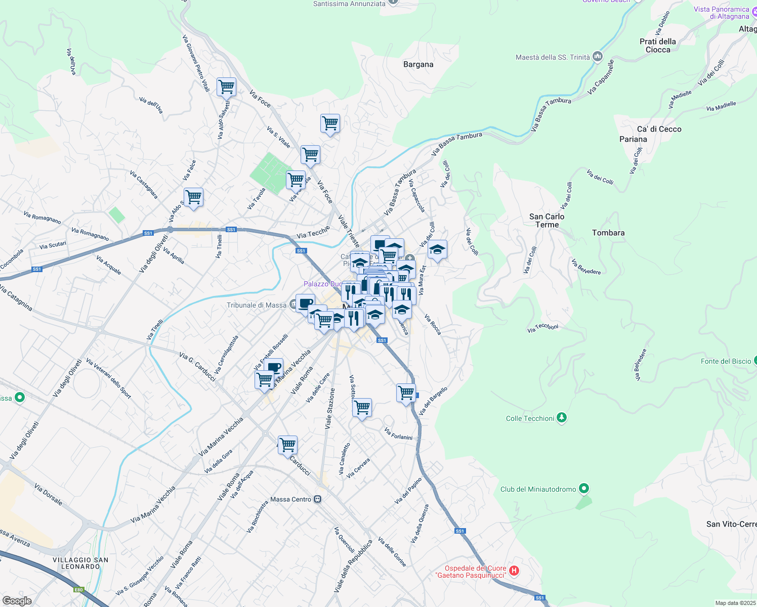 map of restaurants, bars, coffee shops, grocery stores, and more near 19 Via Bastione in Massa