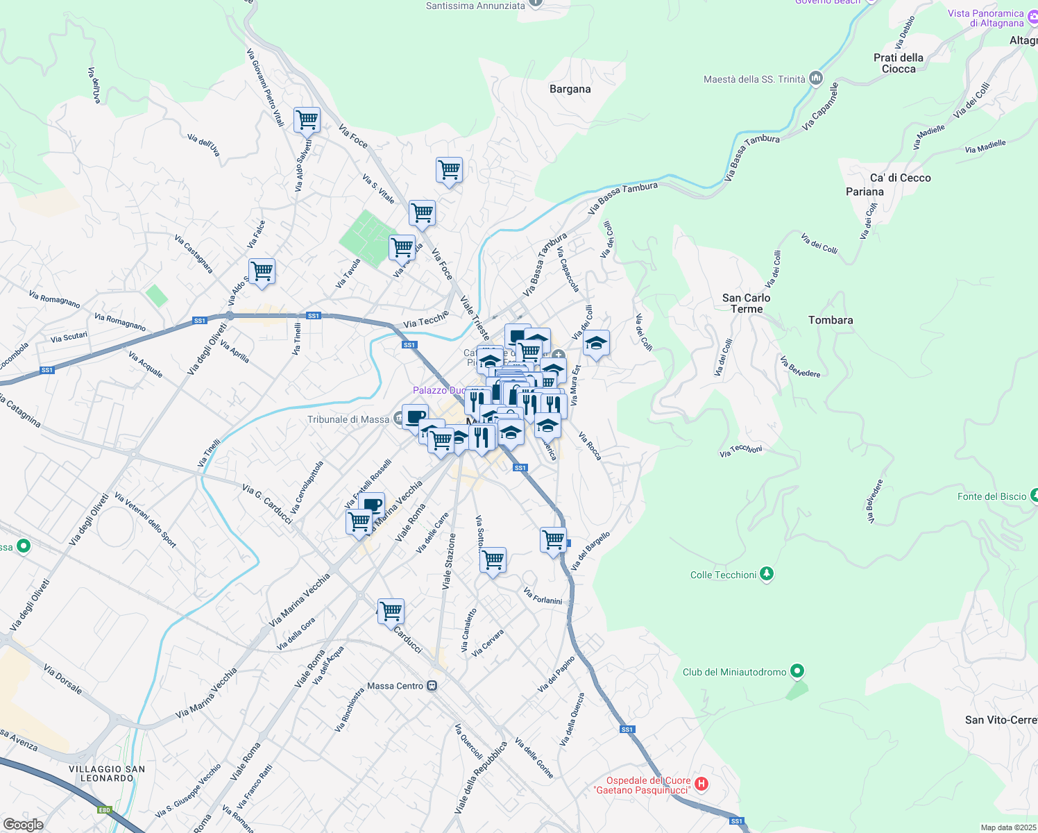 map of restaurants, bars, coffee shops, grocery stores, and more near 19 Via Bastione in Massa