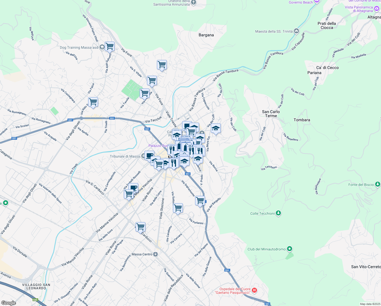 map of restaurants, bars, coffee shops, grocery stores, and more near 19 Via Bastione in Massa