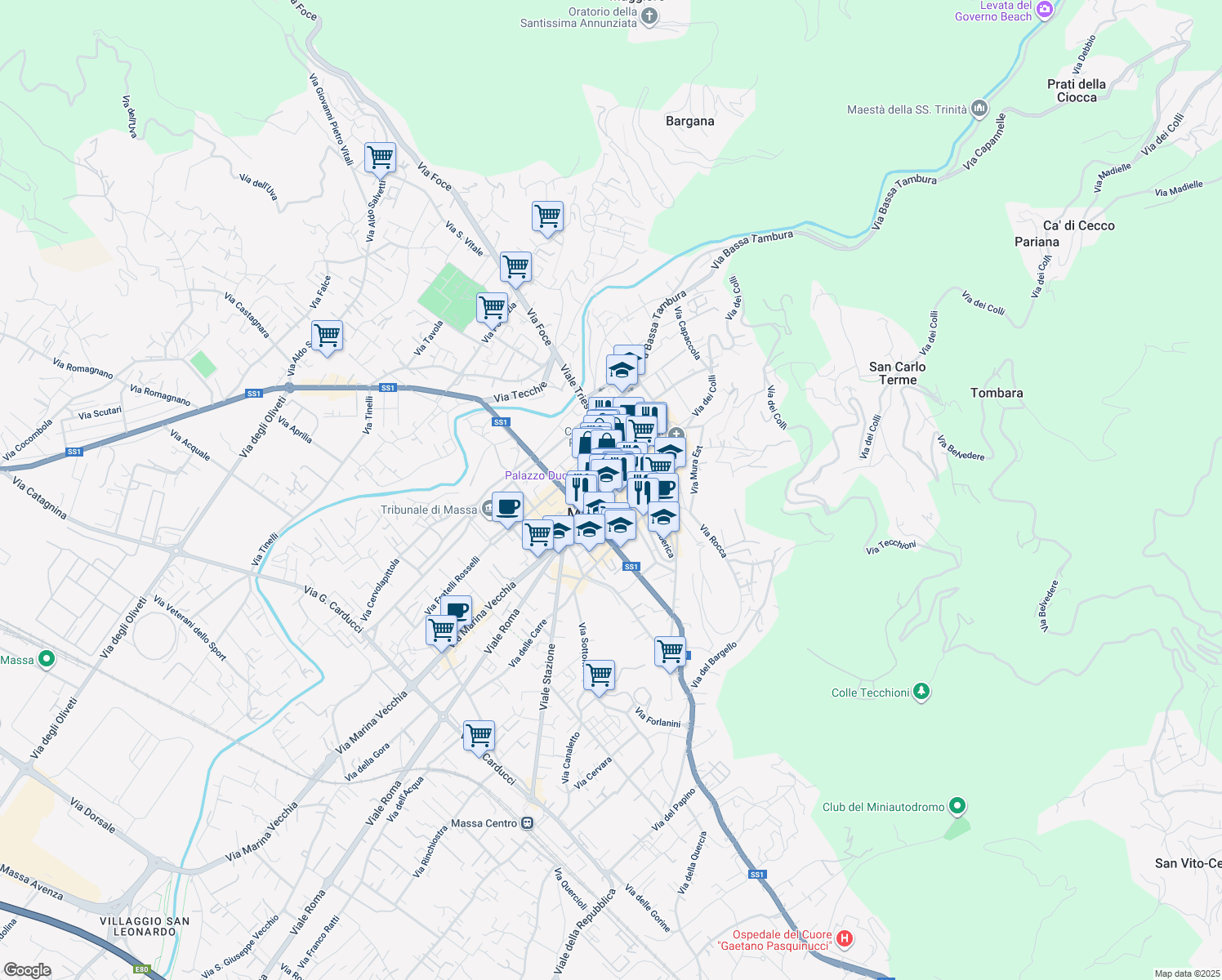 map of restaurants, bars, coffee shops, grocery stores, and more near Piazza del Teatro in Massa