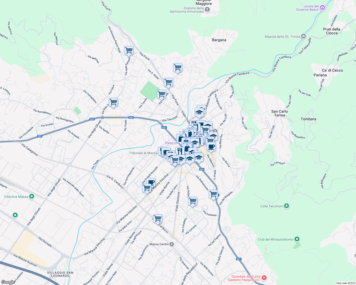 map of restaurants, bars, coffee shops, grocery stores, and more near 31 Viale Giacomo Puccini in Massa
