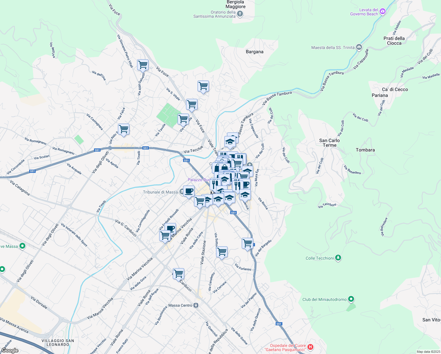 map of restaurants, bars, coffee shops, grocery stores, and more near Piazza del Teatro in Massa