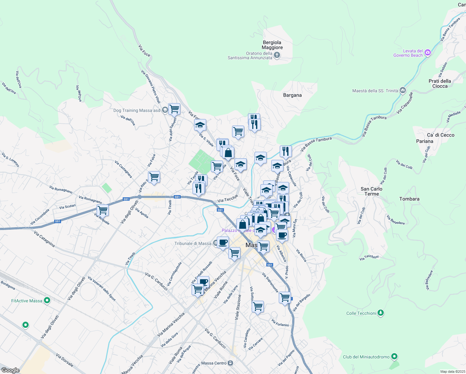 map of restaurants, bars, coffee shops, grocery stores, and more near 211 Viale delle Medaglie d'Oro in Massa