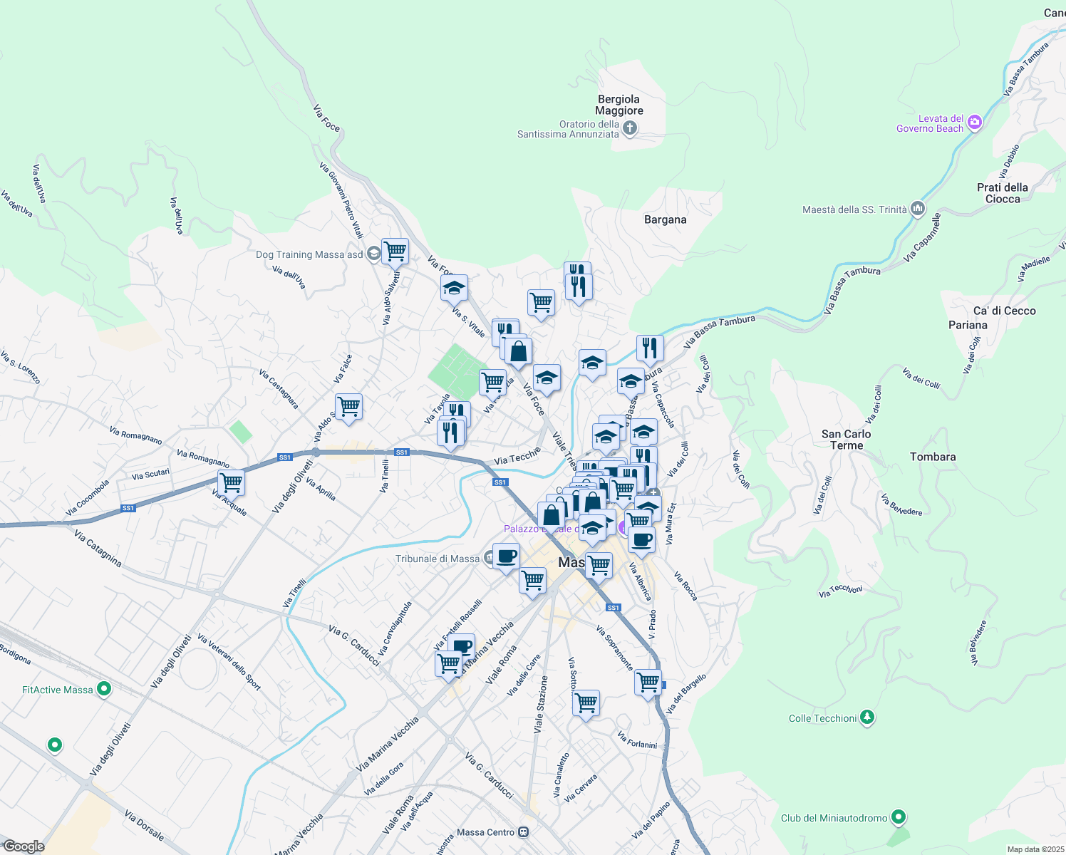 map of restaurants, bars, coffee shops, grocery stores, and more near 211 Viale delle Medaglie d'Oro in Massa