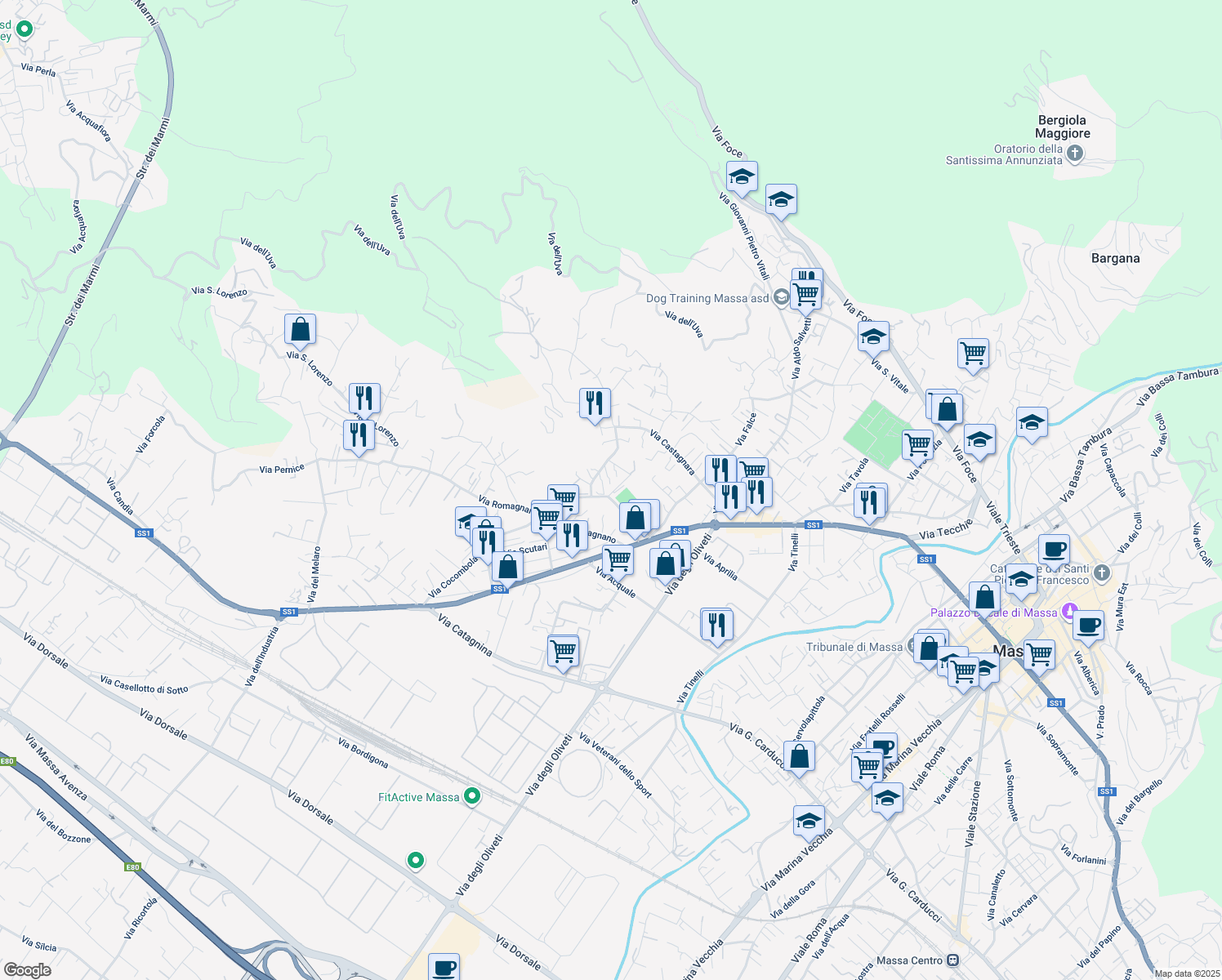 map of restaurants, bars, coffee shops, grocery stores, and more near 85 Via Armando Mannini in Massa