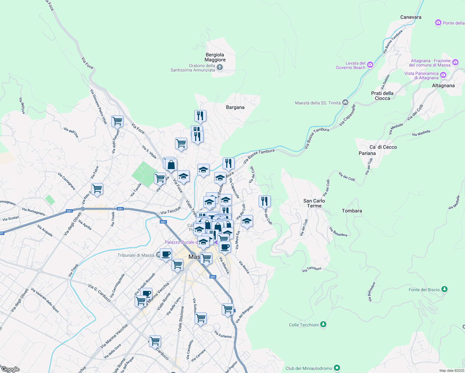 map of restaurants, bars, coffee shops, grocery stores, and more near 72 Via Capaccola in Massa