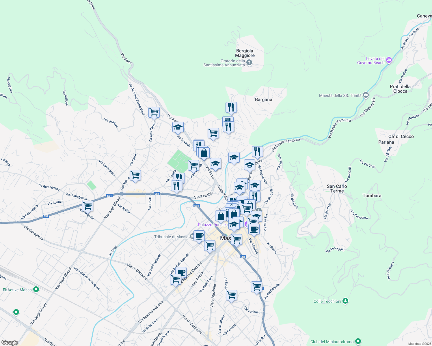 map of restaurants, bars, coffee shops, grocery stores, and more near 30 Via Foce in Massa
