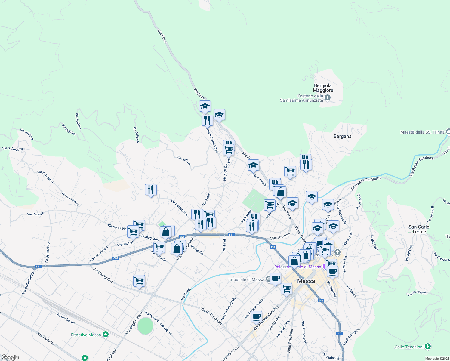 map of restaurants, bars, coffee shops, grocery stores, and more near 192 Via Aldo Salvetti in Massa