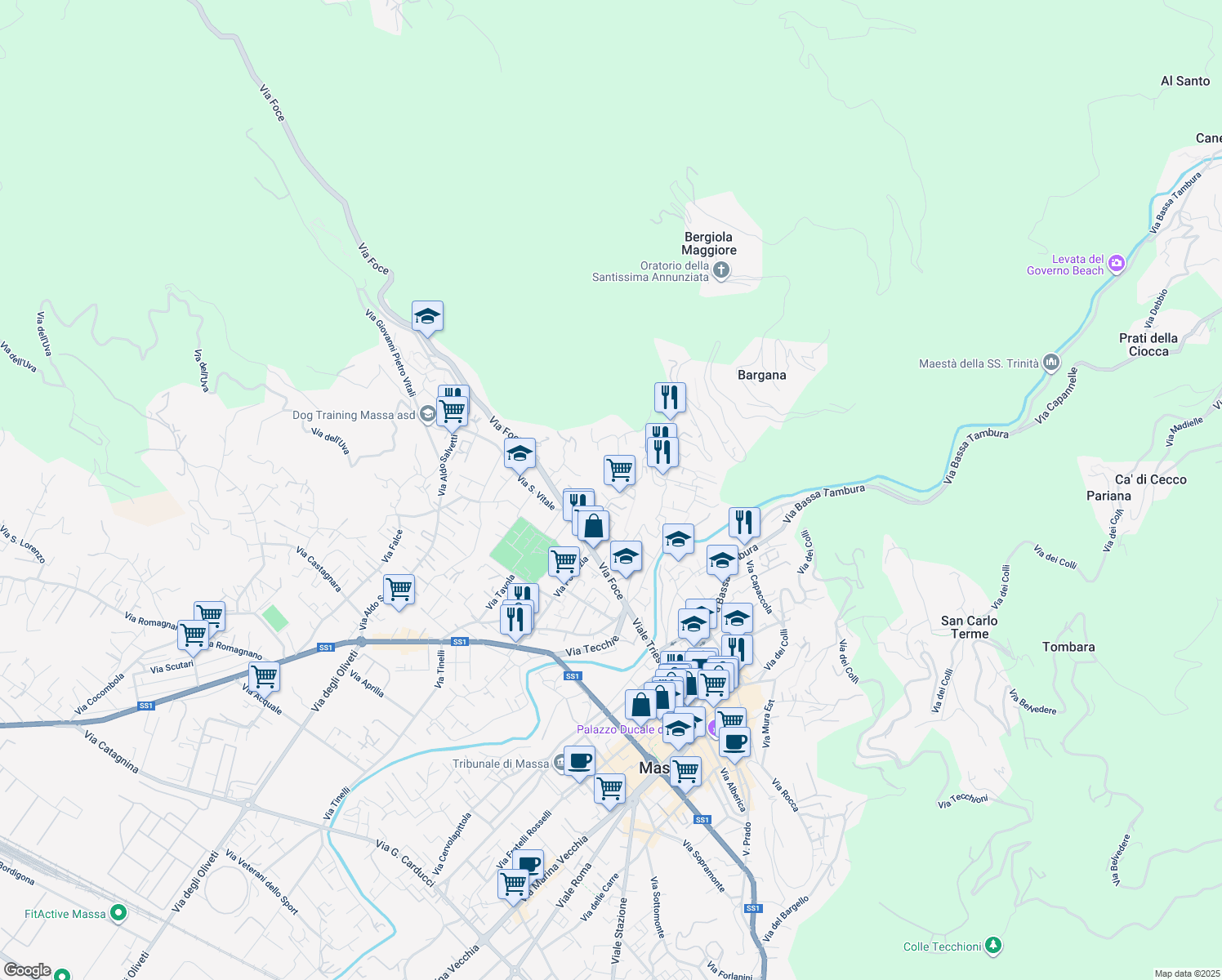 map of restaurants, bars, coffee shops, grocery stores, and more near 85 Via Frangola in Massa