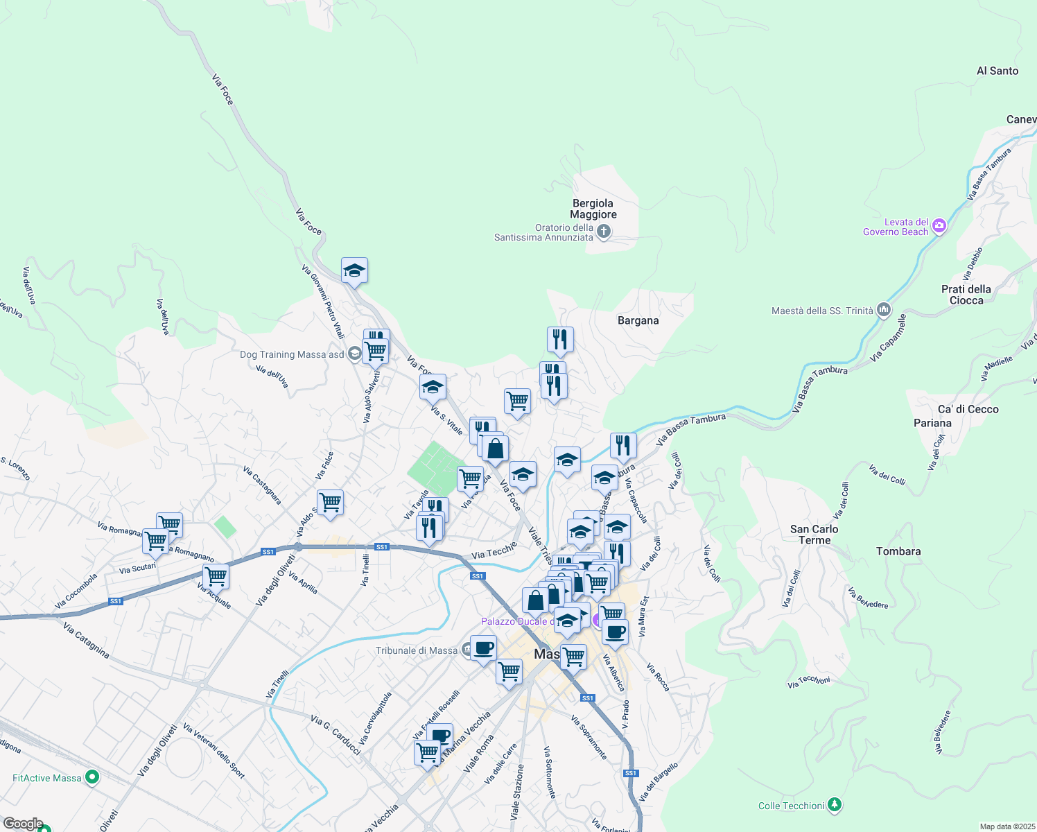 map of restaurants, bars, coffee shops, grocery stores, and more near 85 Via Frangola in Massa