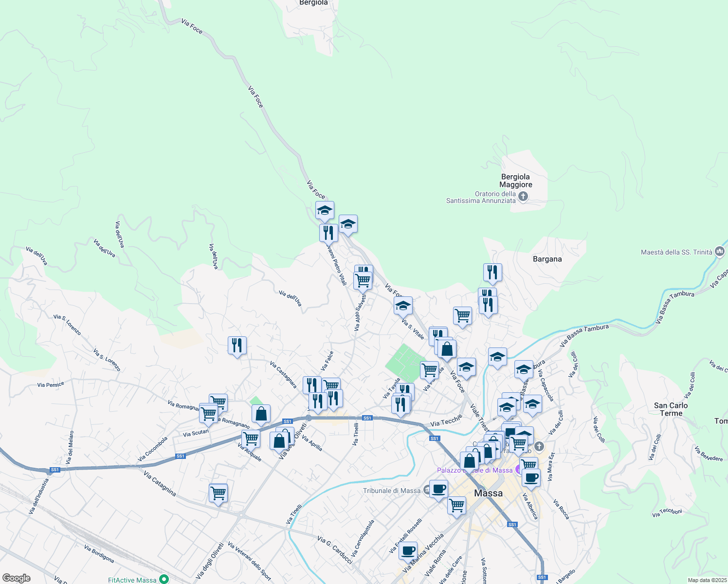 map of restaurants, bars, coffee shops, grocery stores, and more near 147 Via Aldo Salvetti in Massa