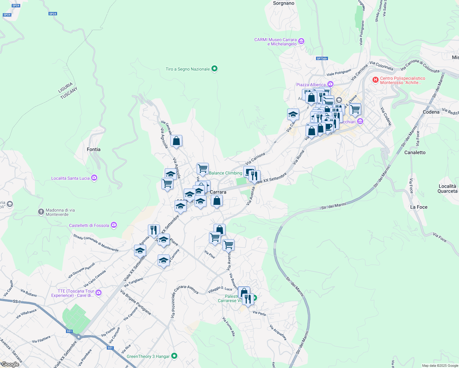 map of restaurants, bars, coffee shops, grocery stores, and more near in Carrara