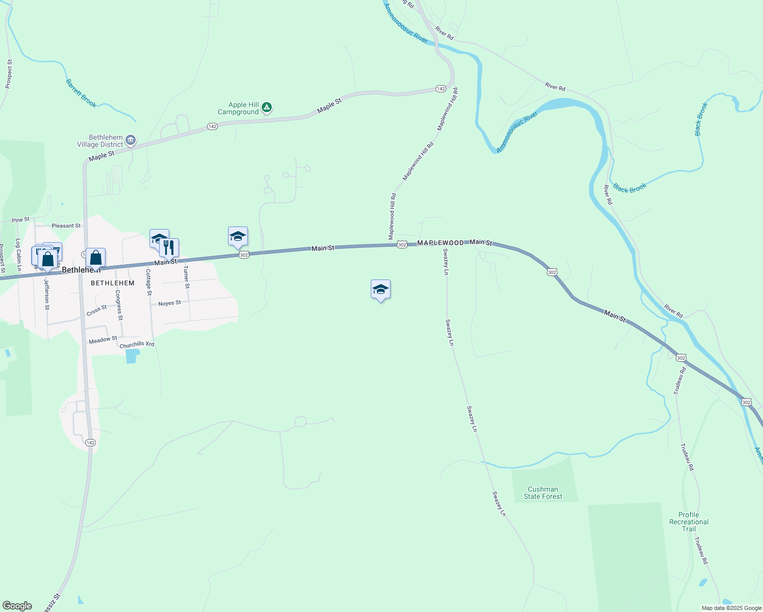 2560 Main Street, Bethlehem NH Walk Score