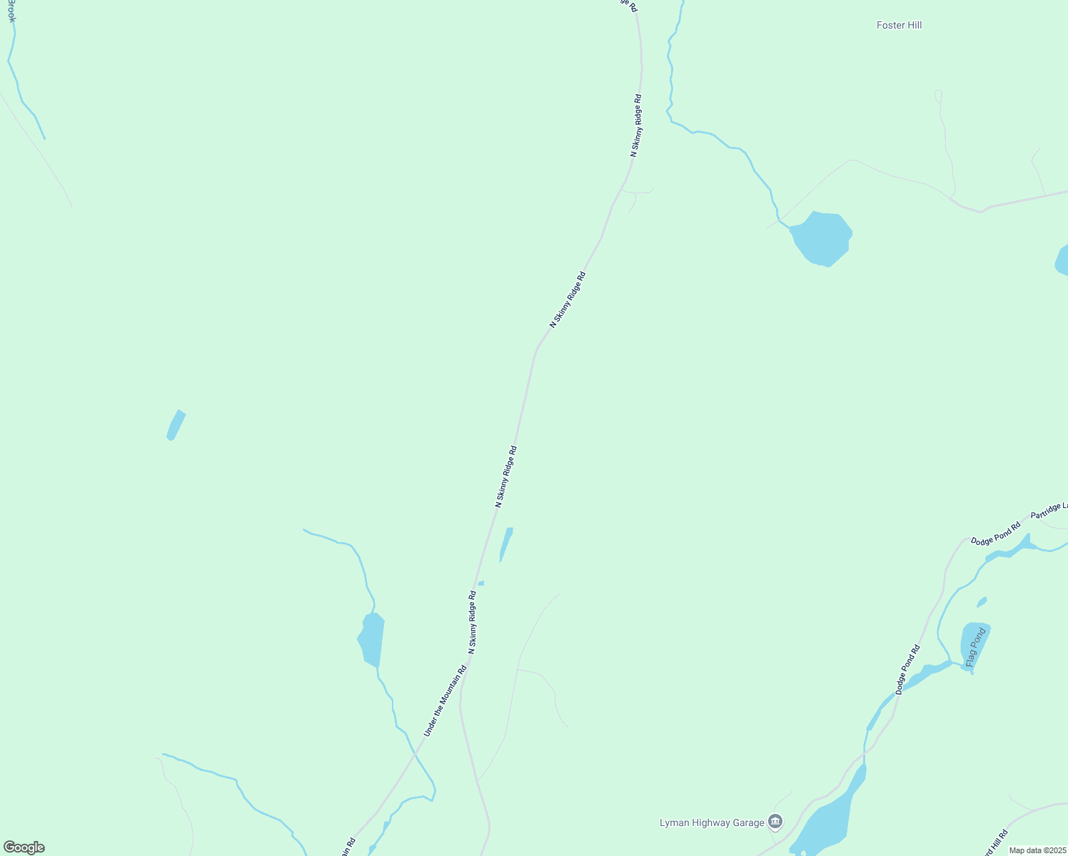 map of restaurants, bars, coffee shops, grocery stores, and more near 542 North Skinny Ridge Road in Lyman
