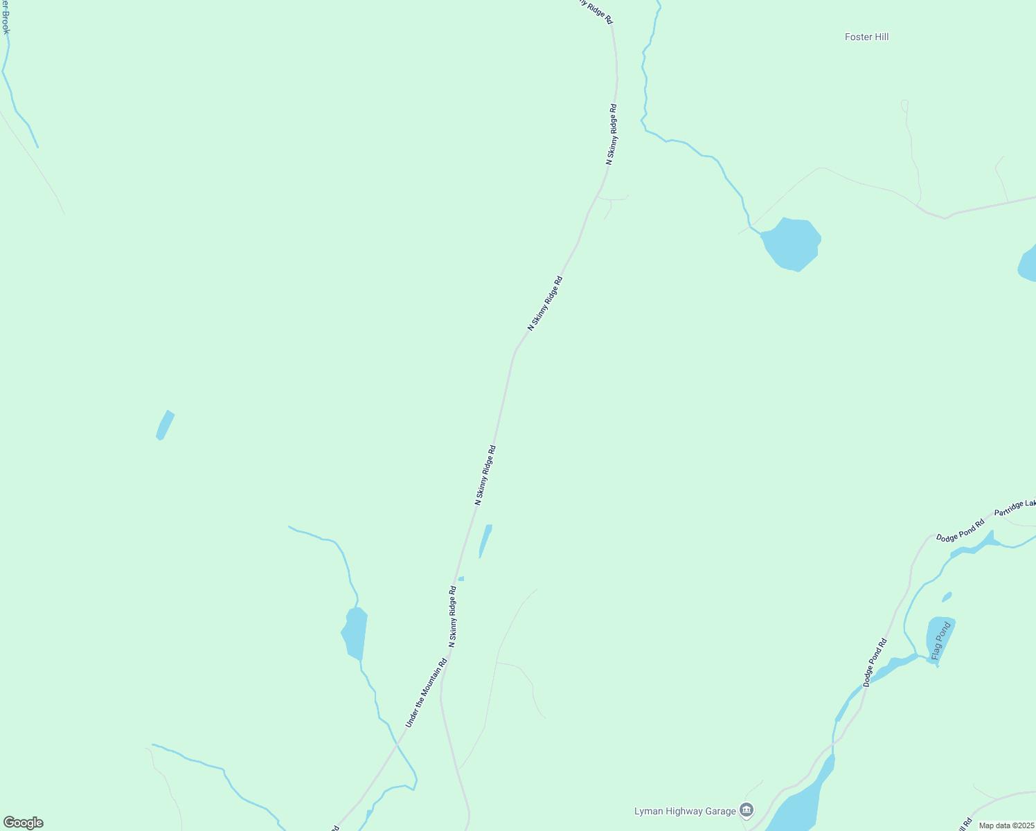 map of restaurants, bars, coffee shops, grocery stores, and more near 542 North Skinny Ridge Road in Lyman
