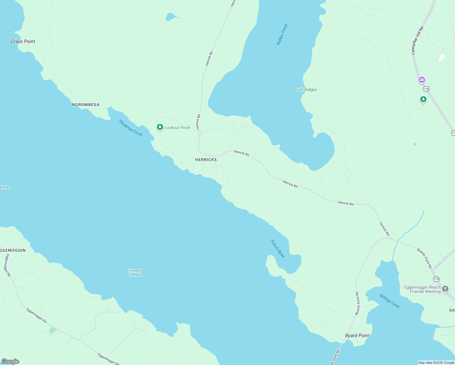 map of restaurants, bars, coffee shops, grocery stores, and more near 41 Sunset Road in Brooksville