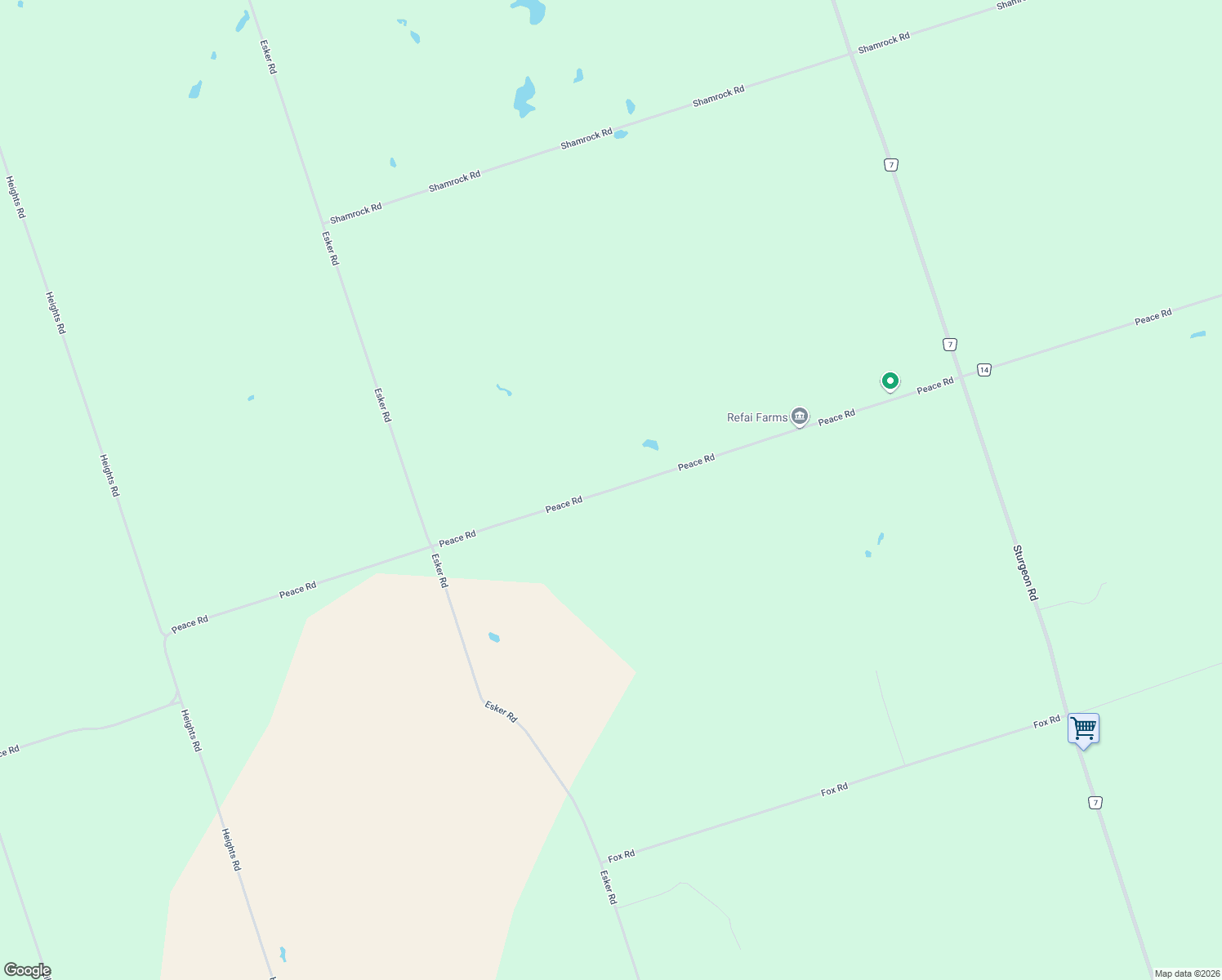 map of restaurants, bars, coffee shops, grocery stores, and more near Peace Rd in Kawartha Lakes