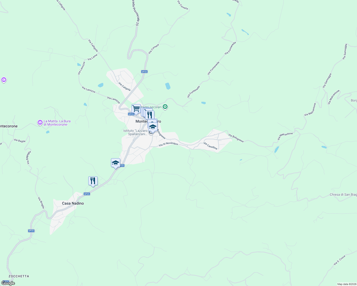 map of restaurants, bars, coffee shops, grocery stores, and more near 439 Via IV Novembre in Montombraro