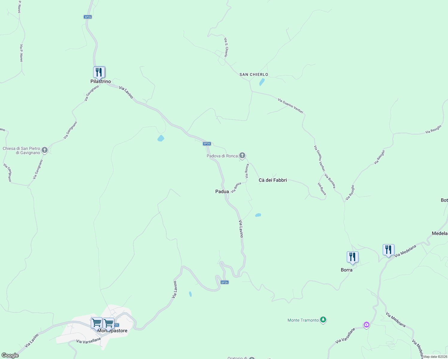 map of restaurants, bars, coffee shops, grocery stores, and more near 463/A Via Lavino in Padova