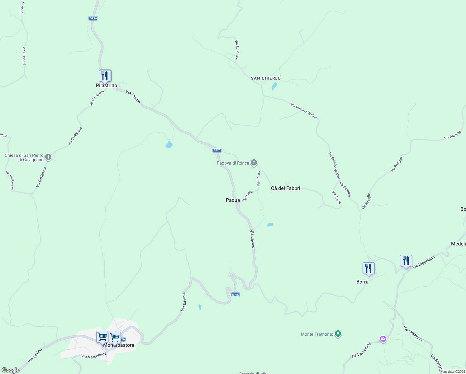 map of restaurants, bars, coffee shops, grocery stores, and more near 463/A Via Lavino in Padova
